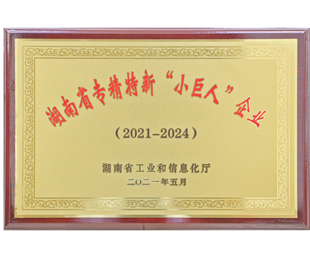 湖南省专精特新“小巨人”企业