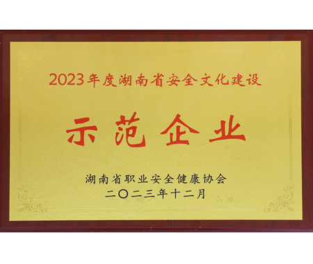 湖南省安全文化建设示范企业