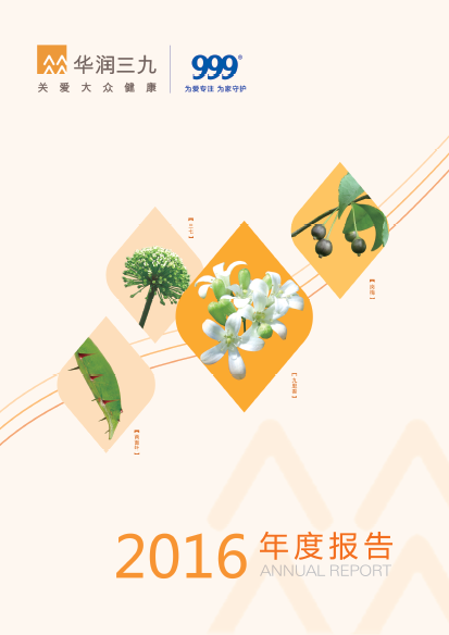 欧洲杯投注
：2016年年度报告