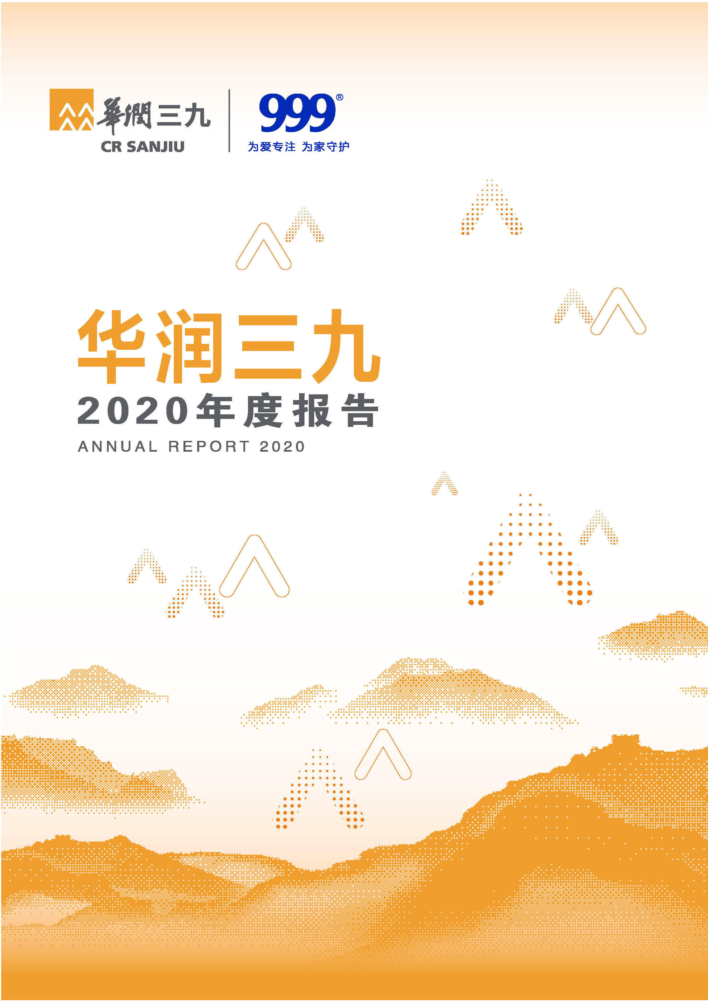欧洲杯投注
：2020年年度报告