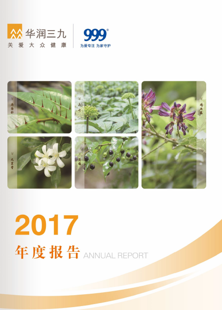 欧洲杯投注
：2017年年度报告