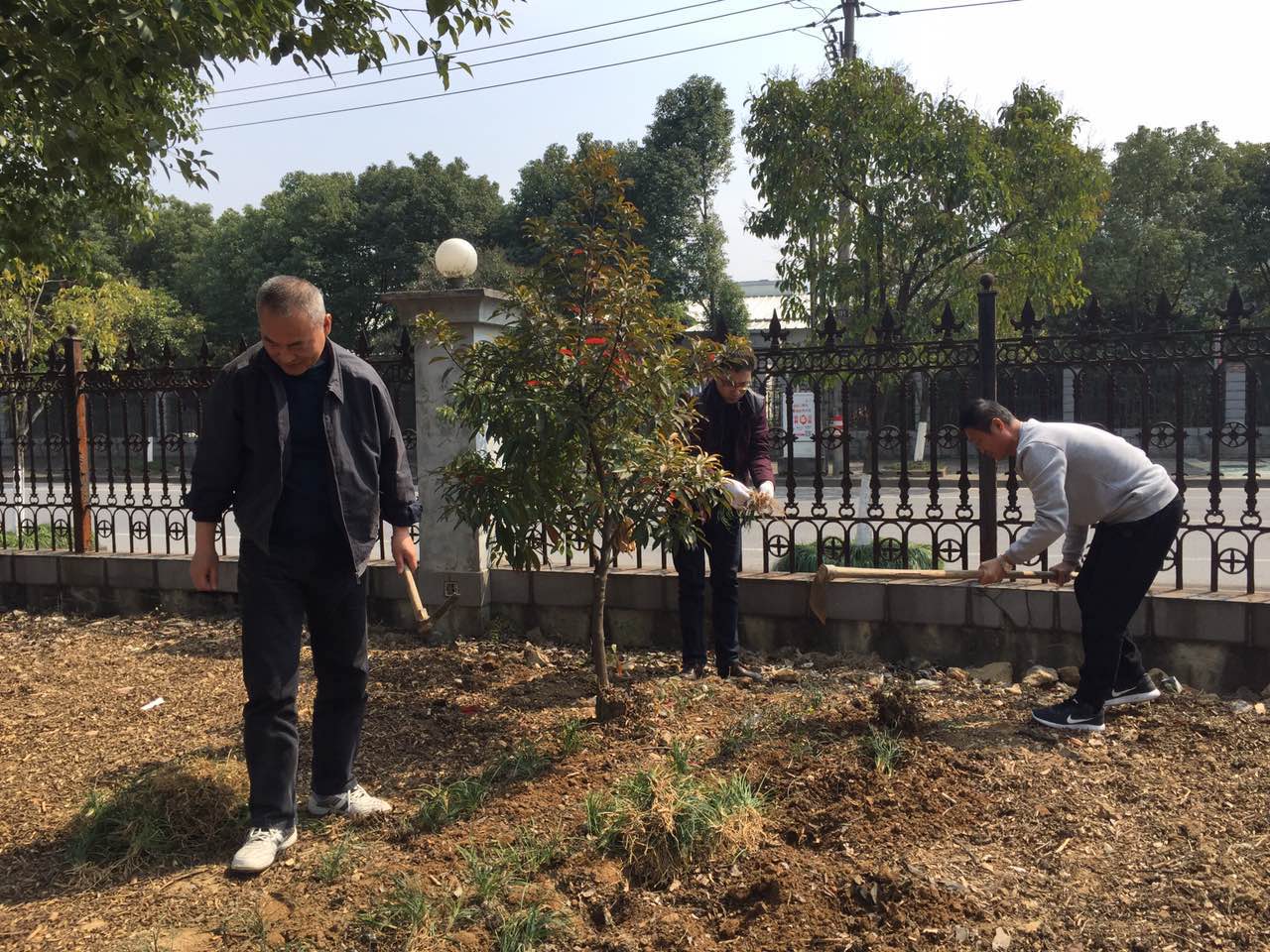 老桐君:美化家园,我们在行动-content1 老桐君:美化家园,我们在行动-content1.jpg