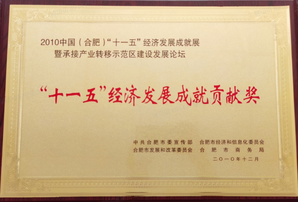 “十一五”经济发展成就贡献奖（2010）